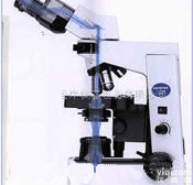AODG-CX31-32C02  台式<em>系统</em>生物<em>显微</em>镜  <em>系统</em>生物<em>显微</em>镜  双目<em>系统</em>生物<em>显微</em>镜