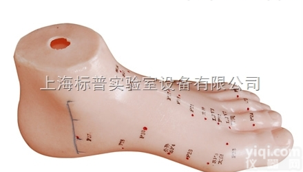 BPKAD/510  足针灸<em>模型</em> 13CM|中医<em>专科</em>训练<em>模型</em>