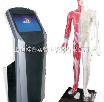 BPKAD/WST-19M  19寸多媒体人体针灸穴位交互数字平台|<em>中医专科训练模型</em>