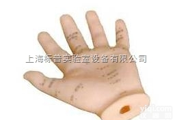BPKAD/509  手针灸<em>模型</em> 13CM|中医<em>专科</em>训练<em>模型</em>