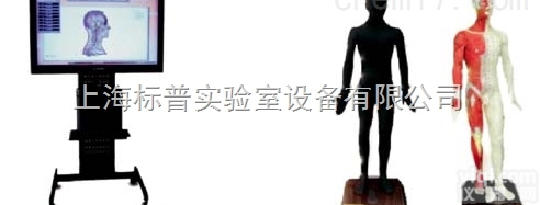 BPKAD/WST-55M  55寸多媒体人体针灸穴位交互数字平台|<em>中医专科训练模型</em>