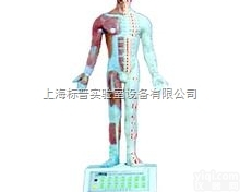 BPKAD/G85B  电动语言十四电动<em>针灸</em><em>模型</em>|中医专科<em>训练</em><em>模型</em>