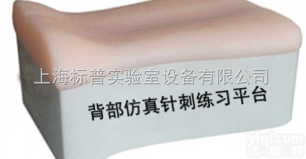 BPKAD/ZC-B  背部<em>仿真</em><em>针刺</em>练习平台|中医专科训练<em>模型</em>