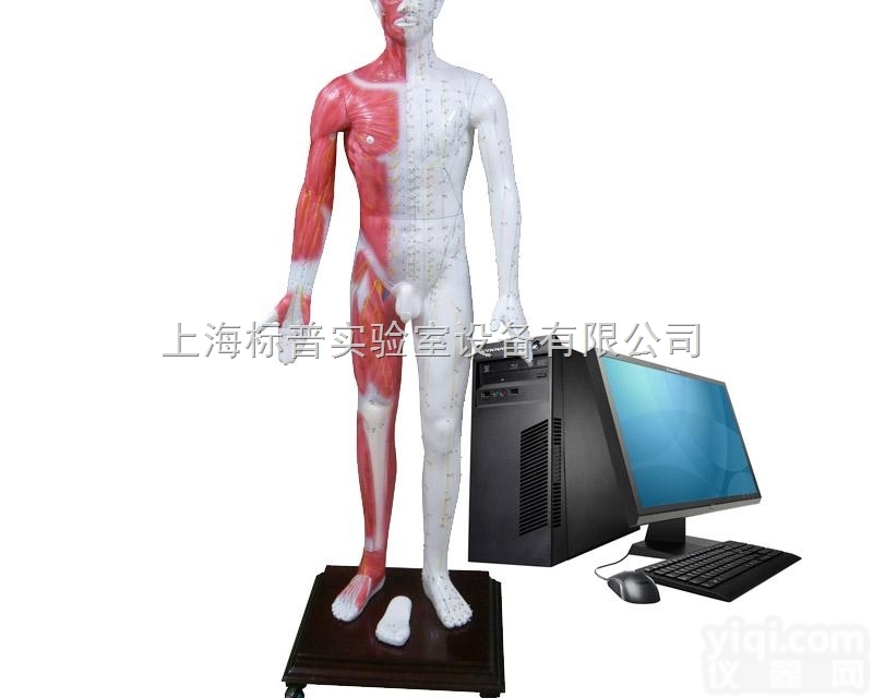 BPKAD/MAW-170E  多媒体人体<em>针灸</em>穴位发光<em>模型</em>|中医专科<em>训练</em><em>模型</em>