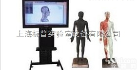 BPWST-42M  42寸多媒体人体针灸穴位交互数字平台|<em>中医专科训练模型</em>