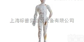 BPKAT/505  人体<em>针灸</em><em>模型</em> 46CM|中医专科<em>训练</em><em>模型</em>