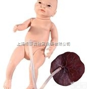 BPKAD/13  高级<em>新生儿</em><em>脐带</em><em>护理模型</em>|护理专业技能训练模型
