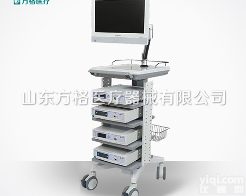 FG-H-03  <em>内窥镜</em>推车 方格<em>医用</em><em>内窥镜</em>推车