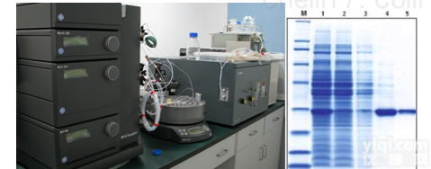 JRD253  蛋白<em>表达</em>与<em>纯化</em>技术服务