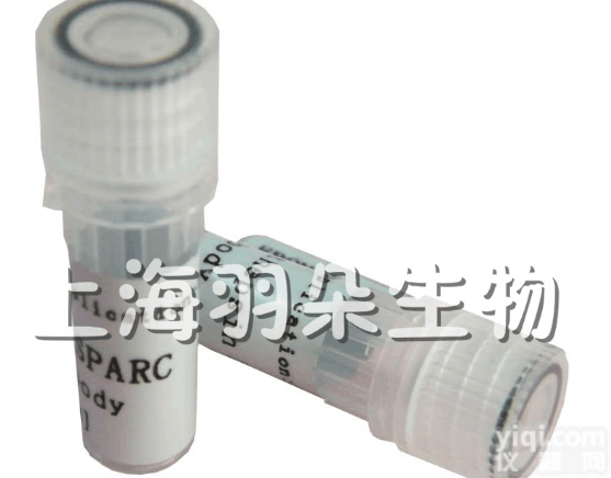 ≤10mg/次  <em>多肽</em>半<em>抗原</em>的偶联<em>抗原</em>抗体