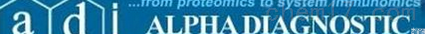 alpha diagnostic international <em>特约</em>代理