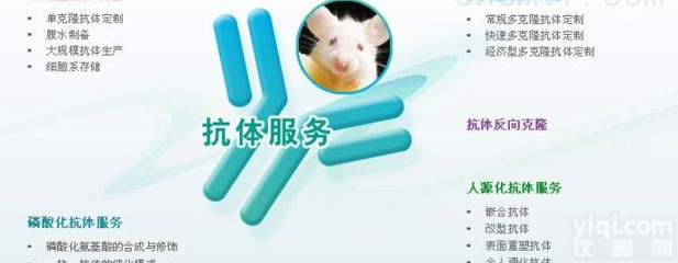<em>多克隆抗体定制</em>
