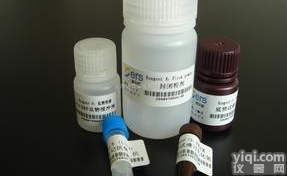 人  ASGPR1<em>抗体</em>,<em>唾液酸</em>糖蛋白<em>受体</em>1<em>抗体</em>