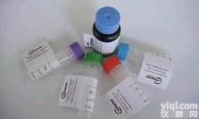 人  <em>phospho</em>-ATM（<em>Ser1981</em>）抗体,磷酸化毛细血管<em>扩张性</em>共济...