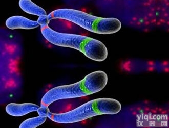 JRD211  原位<em>杂交</em>（细胞）<em>实验</em>外包