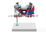 BPQC-JP02  气缸盖解剖<em>模型</em>4气门<em>发动机</em>|汽车解剖实训装置