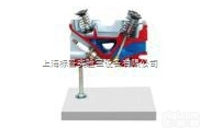 BPQC-JP01  气缸盖解剖<em>模型</em>3气门<em>发动机</em>|汽车解剖实训装置