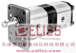 <em>西班牙</em>原装Pedro ROQUET铸铁<em>齿轮泵</em>