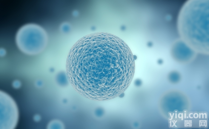 JRD359  <em>细胞实验外包</em>服务