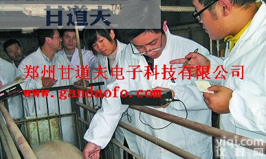 <em>进口</em>种猪<em>母猪</em>专用背膘测定仪