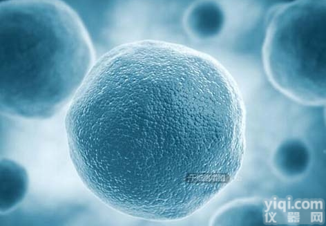 细胞增殖/毒性<em>检测</em>-<em>MTT</em><em>检测</em>-<em>CCK8</em><em>检测</em>