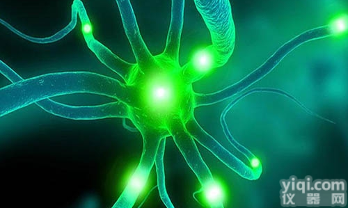 JRD392  细胞<em>代谢</em>学<em>实验</em>