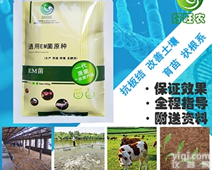 种植em菌  怎样种植<em>花卉</em>花圃育苗快