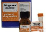 CL-202  Diogenes 细胞化学<em>发光</em>增强试剂盒