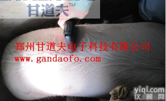 进口动物活体<em>瘦肉率</em>背膘<em>测定仪</em>