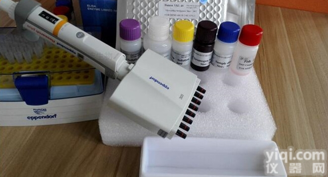 北京<em>ELISA</em>检测<em>试剂盒</em>，大鼠<em>CD44</em>分子（<em>CD44</em>）<em>ELISA</em> Ki...