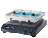 SK-R  <em>大龙</em><em>翘板</em><em>摇床</em>