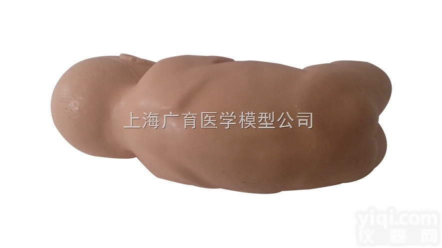 ZKD-YCⅡ  <em>婴儿</em><em>腰椎</em>穿刺训练<em>模型</em>