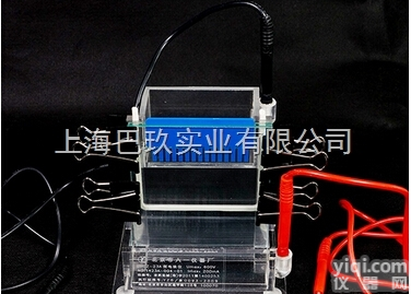 小型单垂直<em>电泳仪</em>DYCZ-23A<em>蛋白</em>凝胶<em>电泳仪</em>（槽）