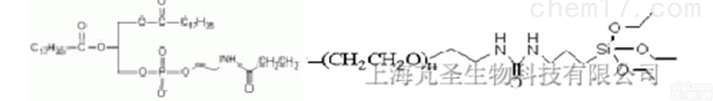 PS2-DEL  硅烷<em>PEG</em>磷脂,<em>DSPE</em>-<em>PEG</em>-SIL,<em>Silane</em>聚乙二醇<em>DSPE</em>...