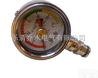 BZY-60  <em>液压支架压力表</em>BZY-60/KJ10/60MPa乐清厂家直销