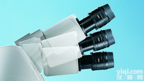 <em>徕卡显微镜参数 徕卡DM1000特价</em>