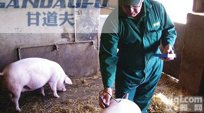 猪用B超<em>价格报价</em>，<em>兽用</em>B超<em>价格报价</em>多少钱