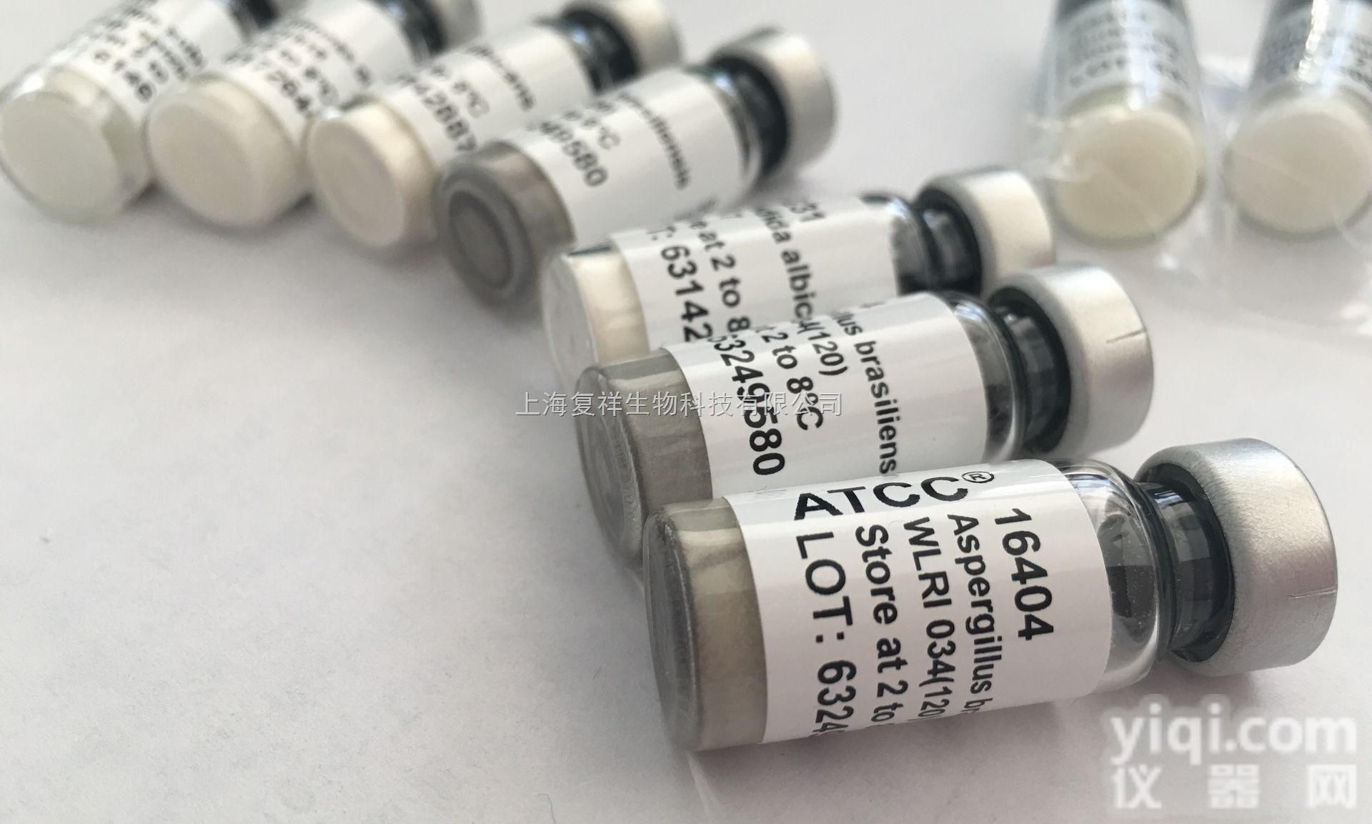 ATCC 33591<em>菌种</em>， 金<em>黄色</em>葡萄球菌