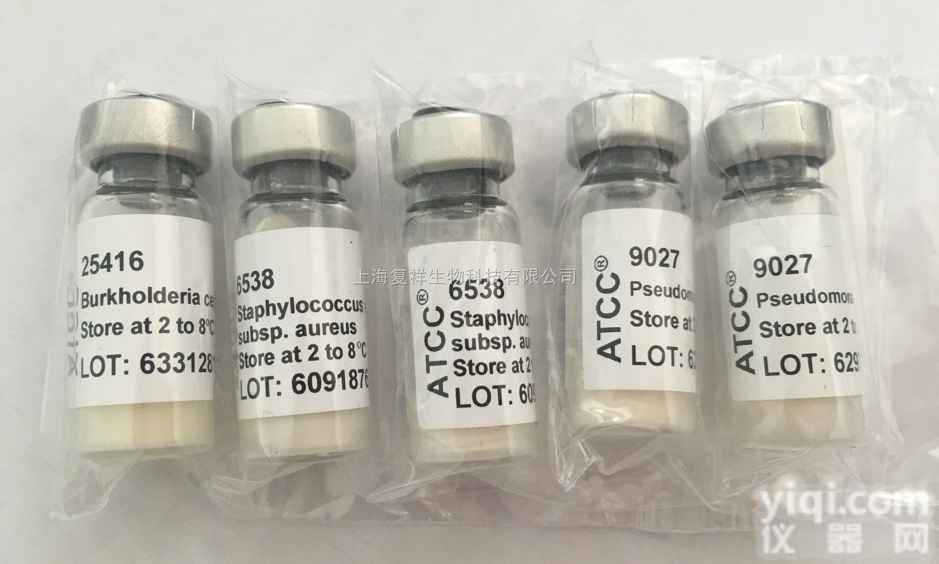 ATCC <em>19424</em>菌种， <em>淋病</em><em>奈瑟</em>氏菌