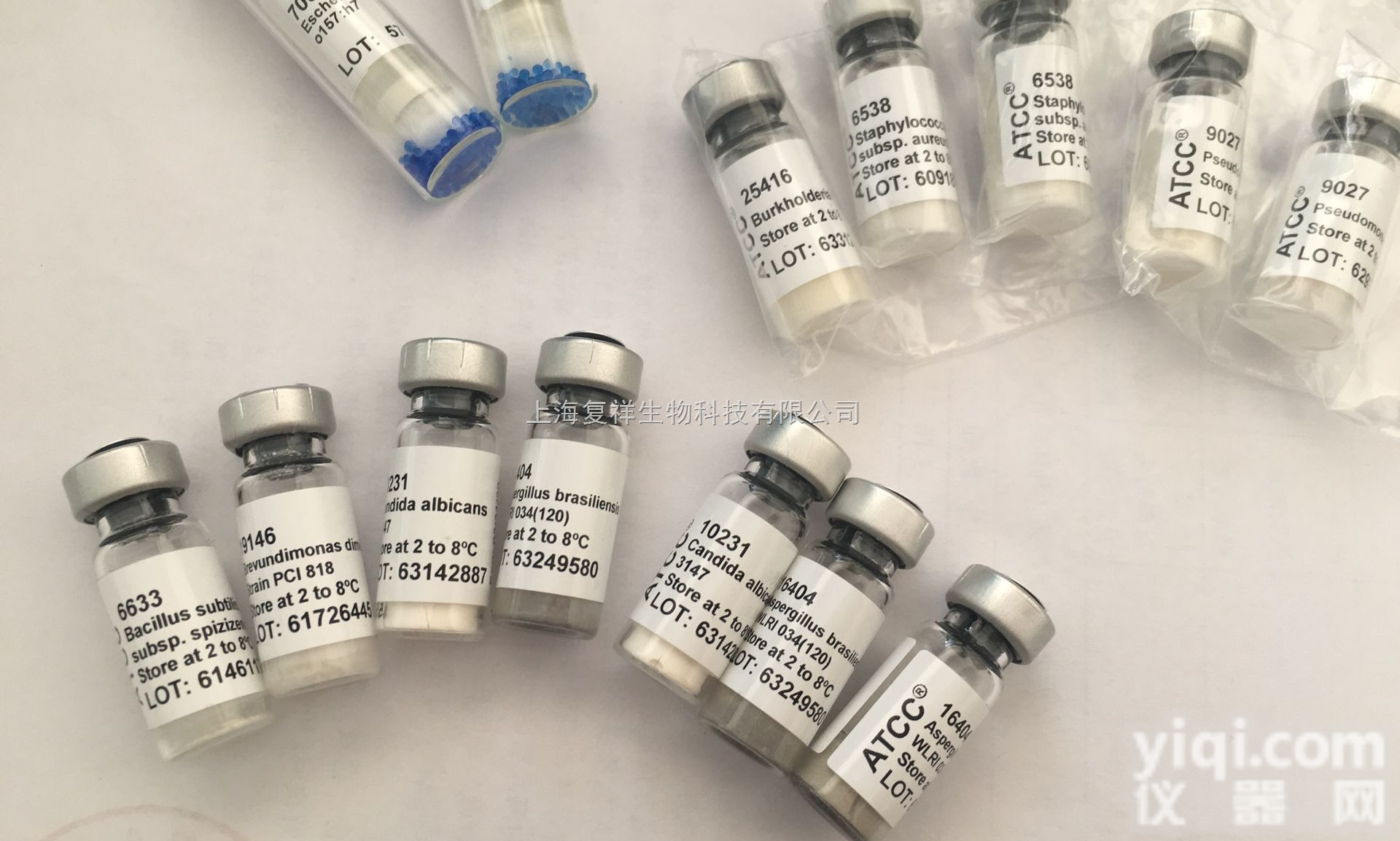 ATCC 14053<em>菌种</em>，白色<em>念珠</em>菌