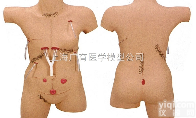 ZKD/LV18  <em>外科</em><em>缝合</em><em>包扎</em>展示模型