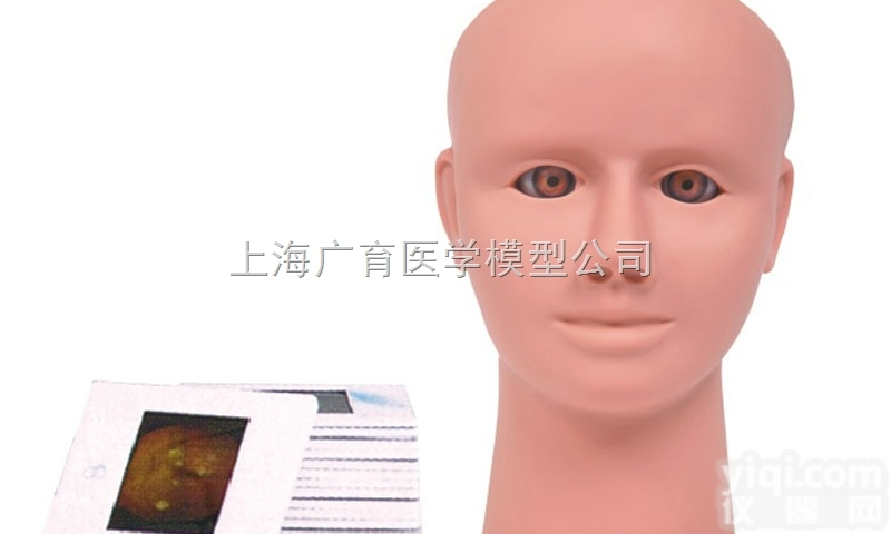 ZKD/LV14  <em>高级眼内视网膜病变检查模型</em>