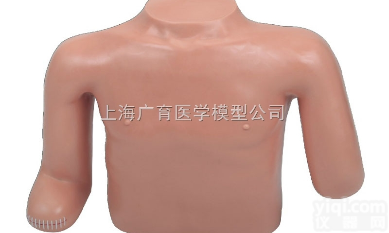 ZKD/LV13  高级<em>高位</em><em>包扎</em><em>模型</em>