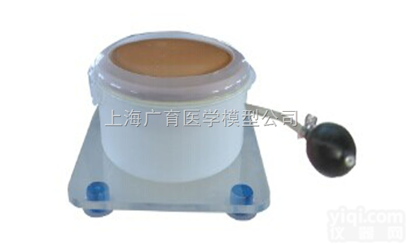 ZKD/LV20  <em>剖腹</em>手术<em>切开</em><em>缝合</em>模型