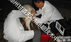 K8  庆祝甘<em>道夫</em>兽用B超厂家成功举办甘肃第三届羊用B超<em>技术培训</em>K8