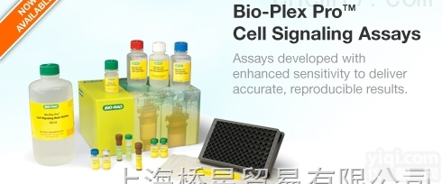 伯乐Biorad<em>梳子</em><em>1653352</em>现货