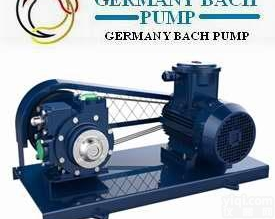 GERMANY BACH  进口滑片泵-_<em>原装进口</em>泵/<em>选型</em>、原理、价格