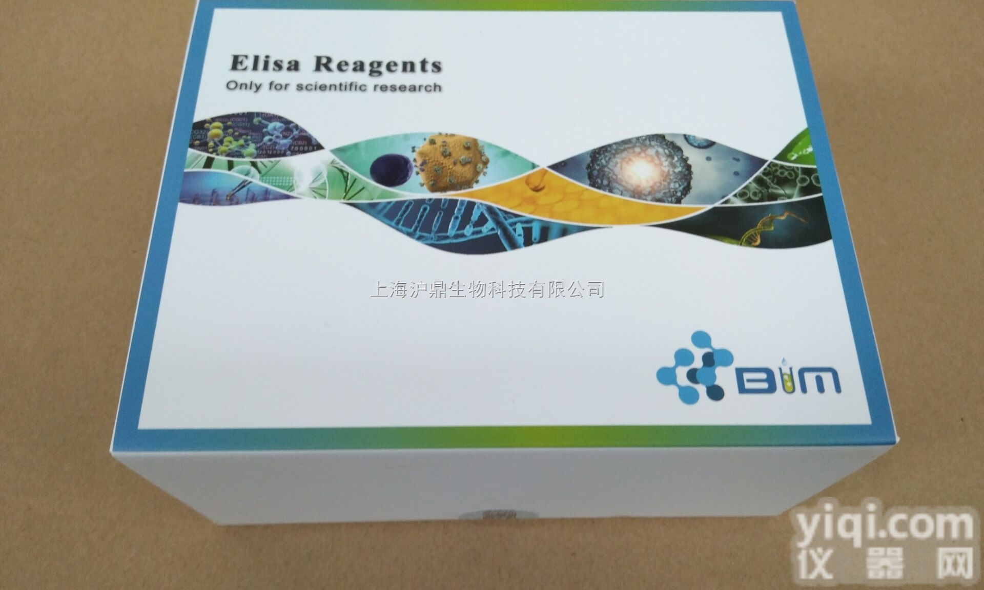 anti-ASGPR,BIM人抗去<em>唾液酸</em>糖蛋白<em>受体</em>抗体ELISA<em>试剂盒</em>