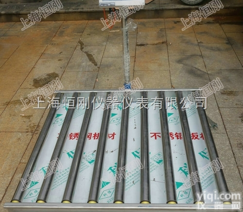 <em>辊道</em>秤  <em>流水线</em>不锈钢<em>辊道</em>秤