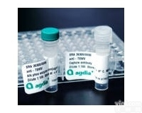 500孔  <em>马铃薯</em>Y病毒<em>检测</em> <em>马铃薯</em>Y病毒<em>检测</em>试剂